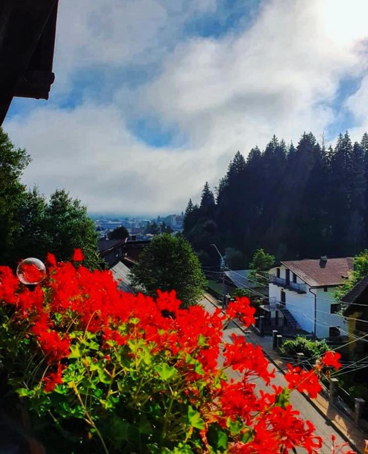 Vila Simina Otel Vatra Dornei Dış mekan fotoğraf